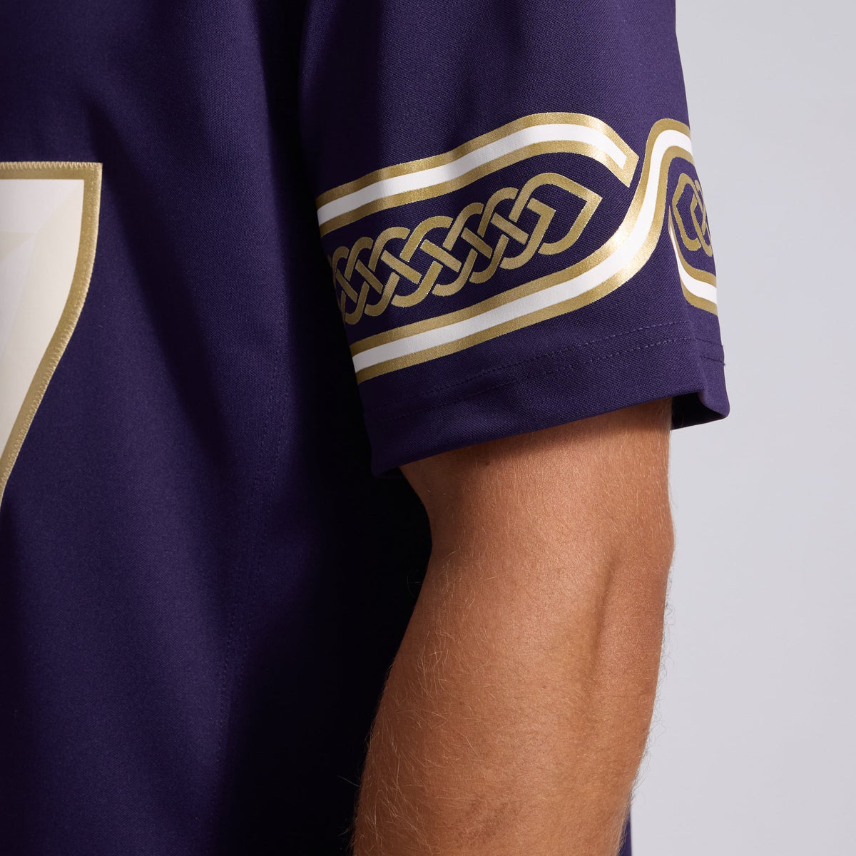 Men's Minnesota Vikings T.J. Hockenson Nike Purple 2026 Rivalries Collection Stitched Limited Jersey