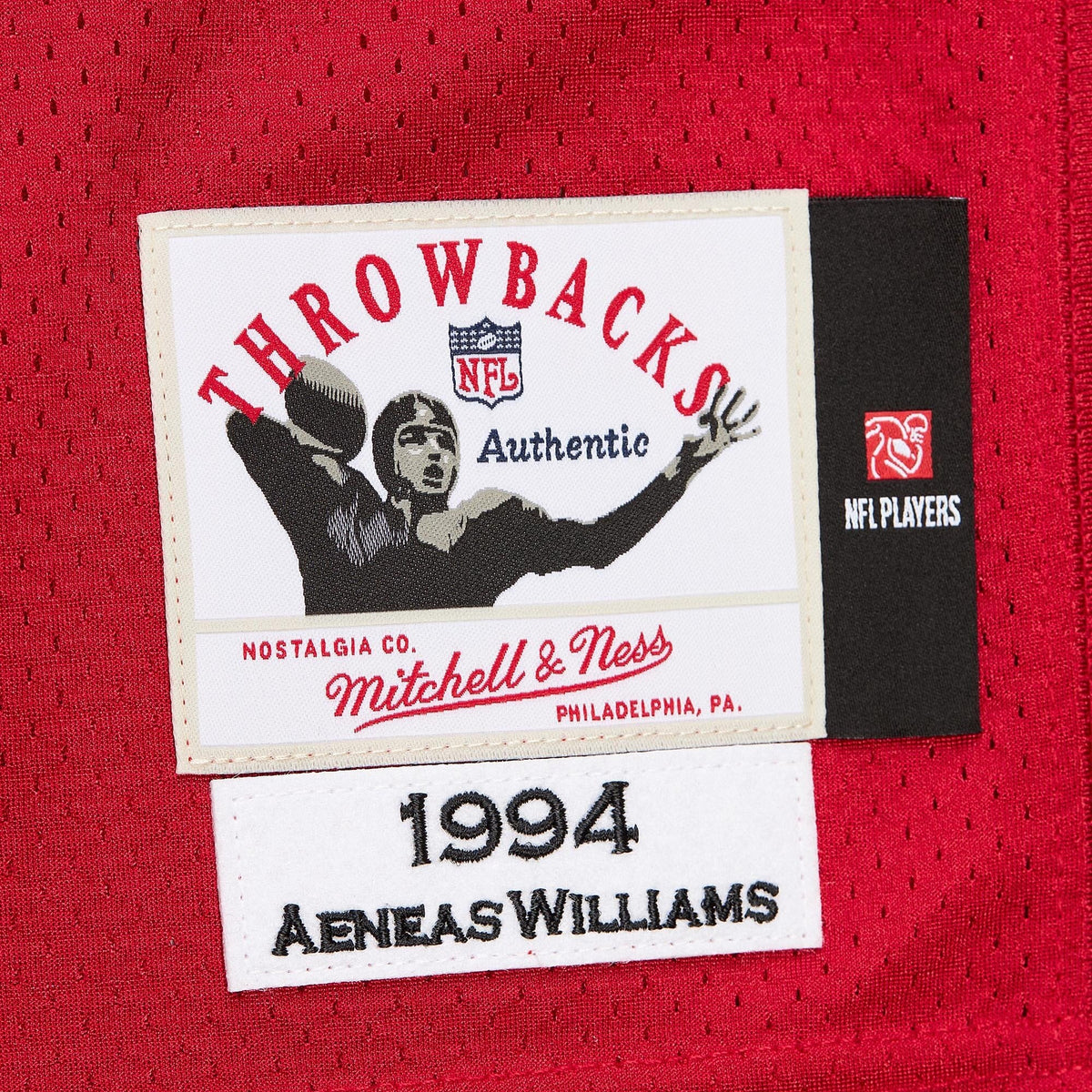 Men's Arizona Cardinals 1994 Aeneas Williams Mitchell & Ness Cardinal Authentic Throwback Retired Player Jersey