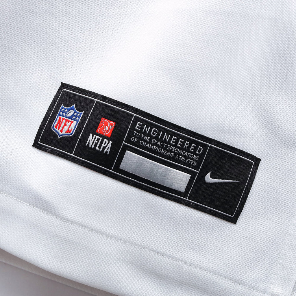 Hail Raiser Men's Washington Commanders Terry McLaurin Nike Black Alternate Game Jersey